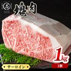 塊肉シリーズ サーロイン 計1kg