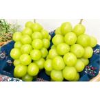 ショッピングふるさと納税 シャインマスカット ふるさと納税 【訳あり】家庭用 シャインマスカット 700g以上2房入り 1.4kg以上【2026年9月上旬〜10月上旬発送予定】果物 フルーツ くだもの マ.. 岡山県倉敷市