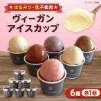アイス ヴィーガンアイスカップ6種セット