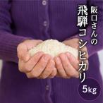 特別栽培米 コシヒカリ5kg 米 こしひかり