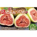 いちじく 訳あり冷凍いちじく とよみつひめ 2kg