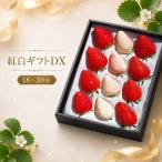 スカイベリー ミルキーベリー 食べ比べDX