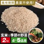 玄米2kgと季節の野菜 おまかせ4 5品