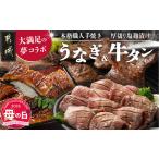 ふるさと納税 【母の日】大満足の夢コラボ☆うなぎ&厚切り牛タンセット≪5月7日〜10日お届け≫_AC-3308-MG_(都城市) 訳あり 不揃い スリット.. 宮崎県都城市