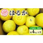 産はるか ご 傷あり 約4kg入り