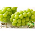 シャインマスカット 晴王 約5kg