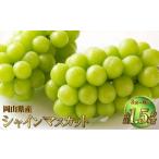 シャインマスカット 晴王 約1.5kg