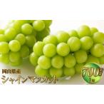 シャインマスカット 晴王 約700g