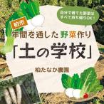 野菜作り体験 土の学校 食育 農業