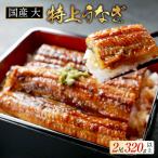 大 特上うなぎ 2尾