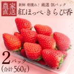 いちご 厳選いちご 280g×2パック