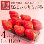 いちご 厳選いちご 280g×4パック
