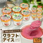 マルマン木村農園クラフトアイス 12個入り
