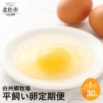 定期便 白州郷牧場の平飼い卵30個×6か月