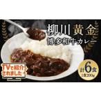 柳川黄金博多和牛カレー 6箱