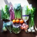 fu.... налог случайный овощи комплект (2026 год 5 месяц последняя декада ~ отправка предположительно )[ рассылка не возможно регион : отдаленный остров ][1702373] Osaka (столичный округ) . талант блок 