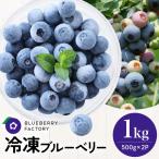 冷凍ブルーベリー 1kgパック 500g×2P