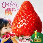 いちご 約1kg