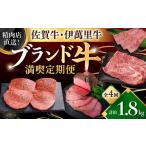 精肉店直送 佐賀のブランド牛満喫便 牛肉
