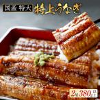 特大 特上うなぎ 2尾
