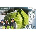 fu.... налог .. вдоволь снег внизу капуста примерно 2kg овощи капуста еда запад Aizu F4D-2175 Fukushima префектура запад Aizu блок 