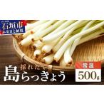 fu.... налог {2026 год 2 месяц последняя декада ~5 месяц последняя декада отправка }.. длина остров rakkyou 500g [ Okinawa префектура камень . город овощи rakkyou остров rakkyou закуска .. длина стоимость.. Okinawa префектура камень . город 