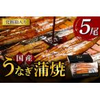 ショッピングうなぎ 蒲焼き 国内産 送料無料 ふるさと納税 うなぎ 国産 うなぎ蒲焼き 5尾 [モリカン 徳島県 北島町 29bh0003] 徳島県北島町