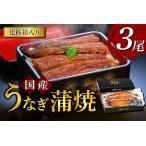 ショッピングうなぎ 蒲焼き 国内産 送料無料 ふるさと納税 うなぎ 国産 うなぎ蒲焼き 3尾 [モリカン 徳島県 北島町 29bh0002] 徳島県北島町