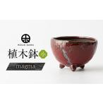 植木鉢 小magma