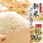受付中 水野農園の北川辺産 コシヒカリ 20kg