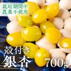 受付中 ふっくら銀杏 700g