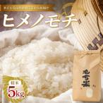 新庄産 ヒメノモチ 精米 5kg