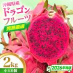 ドラゴンフルーツ 2kg