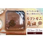 カブトガニ 角皿 食器 皿
