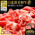 白老産 黒毛和牛 切り落とし 300g×2パック