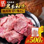 訳あり 黒毛和牛 焼肉用 切り落とし 計500g_BB164-25