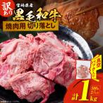 訳あり 黒毛和牛 焼肉用 切り落とし 計1kg_DA56-25