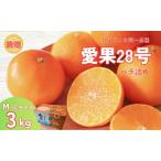 ふるさと納税 みかん 愛果28号 3kg MLサイズ バラ詰め 紅まどんな同一品種 先行予約 【2026年12月以降順次発送予定】 みきゃん箱 愛媛 数量限定 .. 愛媛県伊予市