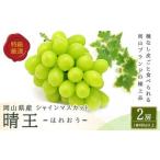 ふるさと納税 シャインマスカット 晴王 2房 （1房480g以上） 化粧箱入り 【2026年8月下旬〜11月上旬迄発送予定】／ マスカット 葡萄 ぶどう 果物.. 岡山県美咲町
