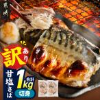 甘塩さば切身1kg 訳あり 甘塩さば 切身 1kg