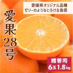 愛果28号 1.8kg