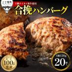 十勝ナイタイ和牛 ビーフ&ポーク ハンバーグ 120g×20個