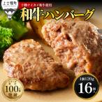 十勝ナイタイ和牛 100% ハンバーグ 120g×16個