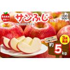 ふるさと納税 【3月クール便発送 訳あり ご家庭用】りんご サンふじ 5kg ふじりんご 青森県産 青森 果物 フルーツ 林檎 リンゴ くだもの 弘前市 青森県弘前市