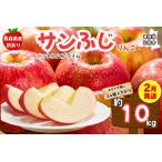 ふるさと納税 【2月発送 訳あり ご家庭用】りんご サンふじ 10kg ふじりんご 青森県産 青森 果物 フルーツ 林檎 リンゴ くだもの 弘前市 青森県弘前市