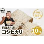 令和8年産コシヒカリ 白米 10kg