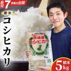 コシヒカリ 精米 5kg