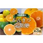 みかん 定期便 3回 計9kg