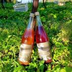 ふるさと納税 ワインぶどうのジュース 白赤セット【1665229】 長野県高山村