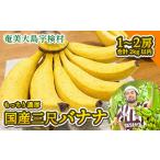 fu.... налог [ предшествующий предварительный заказ ].. три сяку banana (4 месяц .. последовательный отправка ).. banana местного производства фрукты фрукты Amami Ooshima . осмотр . для бытового использования .. ограниченное количество pli.. Кагосима префектура . осмотр .